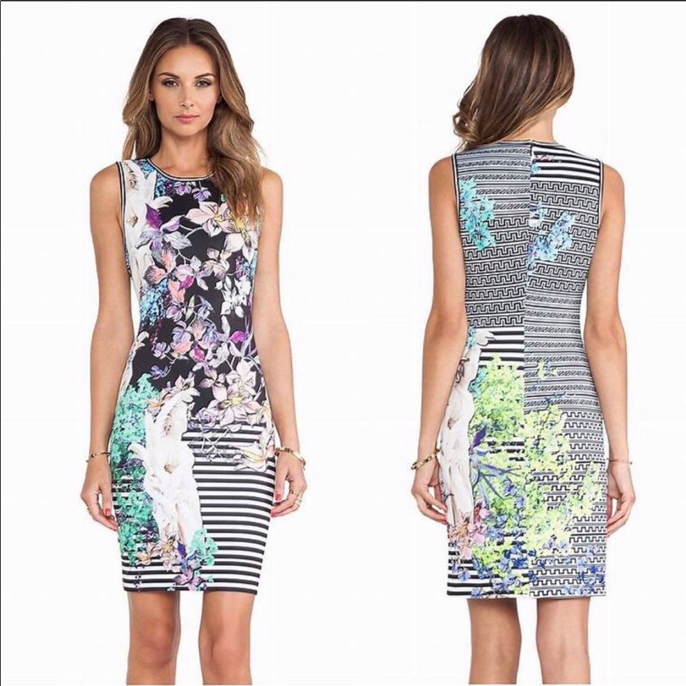 Clover Canyon Enchanted Garden Scuba Dress